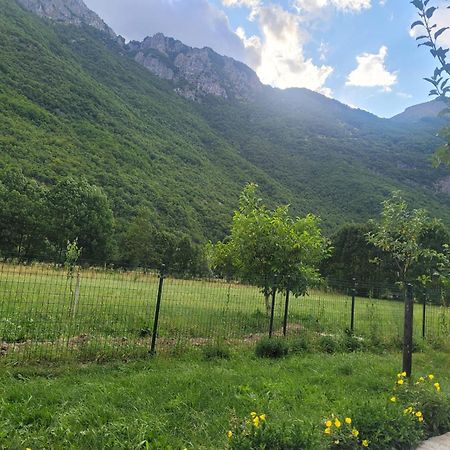 Lola Guest House Vusanje Екстер'єр фото