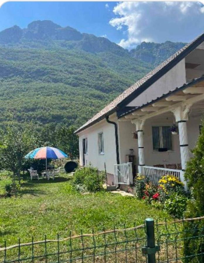 Lola Guest House Vusanje Екстер'єр фото